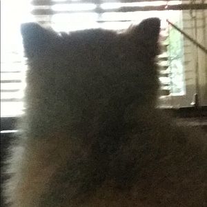 Meet your Posher, Kathy